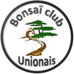 Bonsaï Club Unionais
